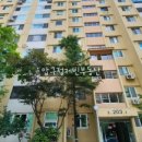 압구정-205 이미지