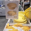 대야1로23번길 | 현대백화점 판교점 이케아 팝업 방문기, 쿠션커버·접이식 실리콘 대야 구매 후기