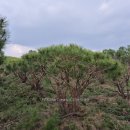 선문농장 이미지