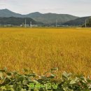 여주-0900 이미지