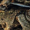 멍이부뚜막 이미지