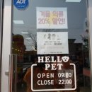 헬로펫 여수 이미지