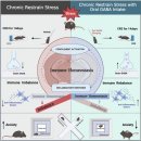 Re: gaba보충제 장기복용 -- 만성뇌신경 염증에 의한 불안 치료.. 2025 nature 이미지