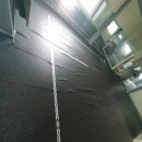 서구애견센타 이미지