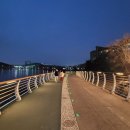 기흥호수공원(생태) 이미지