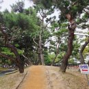 금릉소공원 이미지