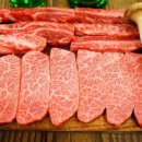 현대식육백화점 이미지