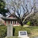 경상감영공원 이미지