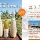 코리아피부미용협동조합