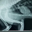 신현동물병원 이미지