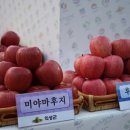 후지유통 Daum카페