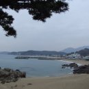 갈맷길(1코스) 이미지