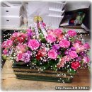 대구동덕초등학교 이미지