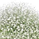 청학동주차장2 이미지