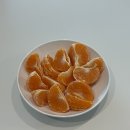 맛미유기비료 | 제주카라향 귤밭디농장 고당도과일 아이들간식 제주귤 추천