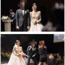 사계절축사 이미지