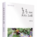 ☆시집, 《돌 틈 사이 흐르는 노래》 출간 이미지