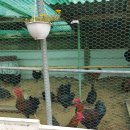 영곤농장 이미지