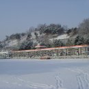 동화의나라 티스토리