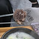 둥지순대국 이미지