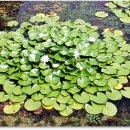 충주자연생태체험관 이미지