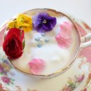 티아레나 네이버블로그