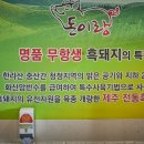 명품토종흑돼지 네이버블로그