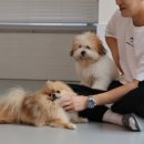 쭈니살롱 이미지