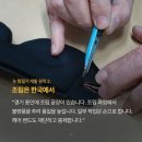 현대전자 이미지