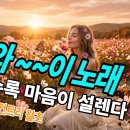 릴리왈츠