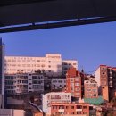 엘리멘토 | D.29 부산 송도 숙소 가성비갑 엘모멘토 숙소 후기 + 조개구이 해녀마트