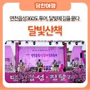 면천추어탕 | 면천읍성360도 투어, 달빛에 길을 묻다 달빛 산책