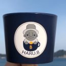 하루비:(HARU B:)