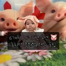 롯데또래어린이집 | 6개월 아기 첫 문센 성공기! 광명 롯데몰 '꿈구는 아기씨앗' 일일강좌 후기 &amp; 현실 팁