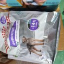 거상애견 이미지