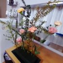 힐링원예 가드닝 이미지