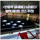 안중락실내바다낚시터 이미지