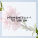 승리한의원 이미지