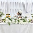 시흥 셀프스튜디오 후기 🩷 백일상 , 돌상 ♥️ 스튜디오