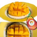 다움농장2 이미지