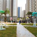 우리 민화(야간) 이미지