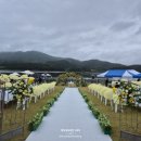 미르캐슬 | 웨딩전문디렉터와 함께 하는 퀸즈캐슬의 행복한 광주야외웨딩 진행일기