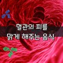 혈관의 피를 맑게 해주는 음식 이미지