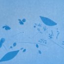 원천초병설유치원 이미지