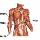 에스핏피티필라테스