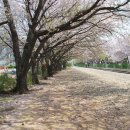 장복산길 이미지