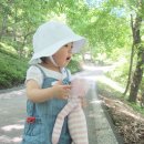 백아산자연휴양림 이미지