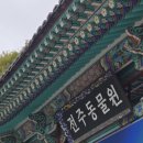 전주동물원 | 전주동물원 후기｜아이와 함께 놀기 딱 좋은 전주 드림랜드까지