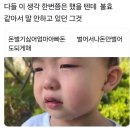 새나루길 해안로 | 살짝 망한 겨울 강원도 가족여행 4박5일