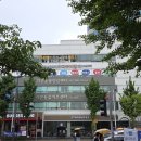 24시 이지동물의료센터 | 9개월 2kg도 안 되는 작은 강아지 앞다리 탈구 수술 24시리본동물의료센터 후기
